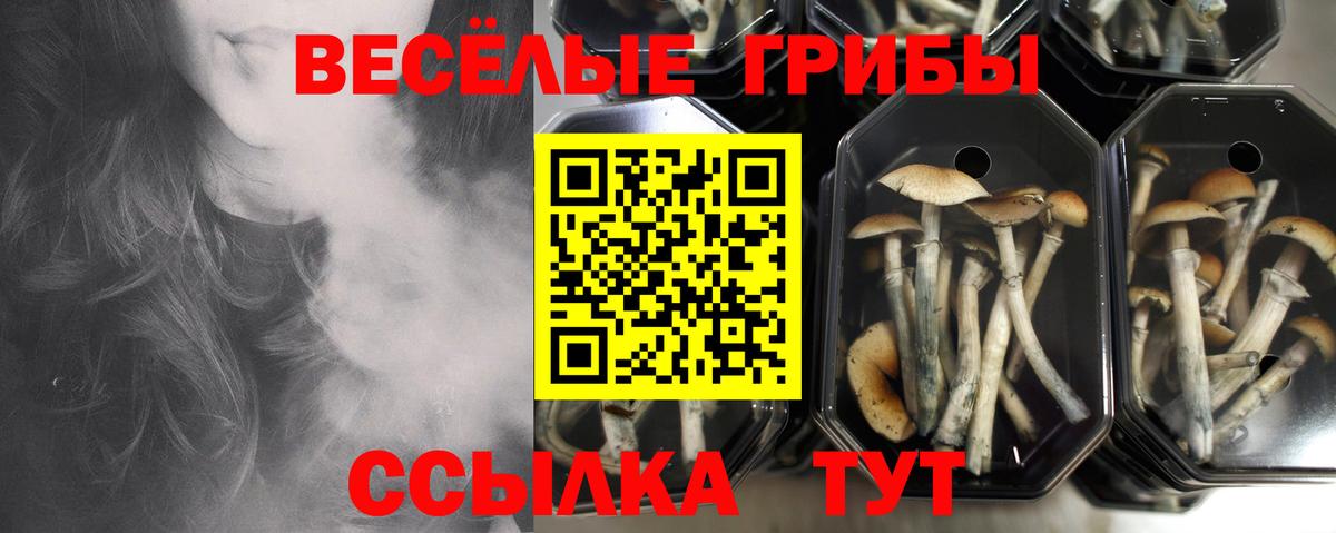 Псилоцибиновые грибы MAGIC MUSHROOMS Ковров