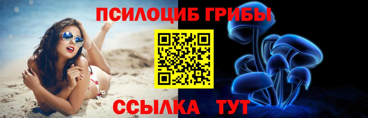 Ковров  Псилоцибиновые грибы Psilocybe  где купить наркоту  Вход с VPN 